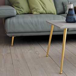 Picior Mobila Bone Auriu Mat